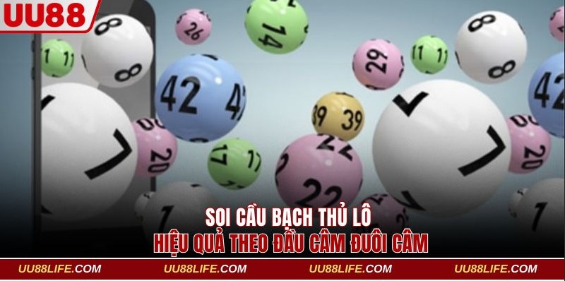 Soi cầu bạch thủ lô hiệu quả theo đầu câm đuôi câm